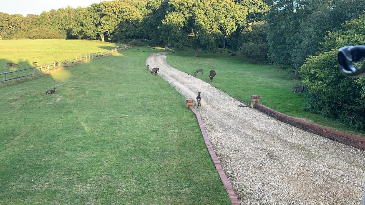 Villa Yards Brake On 40 Acres Of Private Land à Langton Matravers Extérieur photo