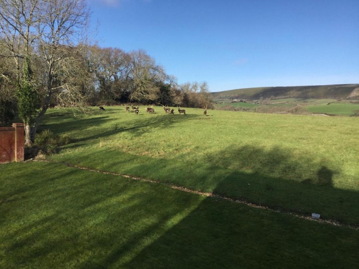 Villa Yards Brake On 40 Acres Of Private Land à Langton Matravers Extérieur photo