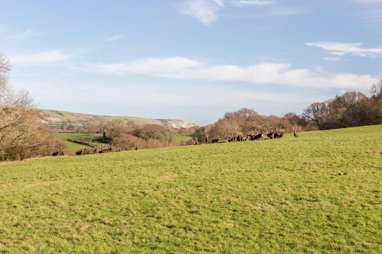 Villa Yards Brake On 40 Acres Of Private Land à Langton Matravers Extérieur photo